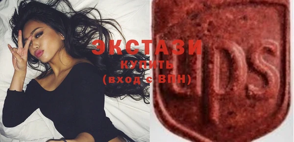 мдпв Кодинск
