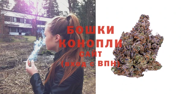 мдпв Кодинск