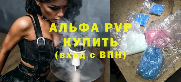мдпв Кодинск