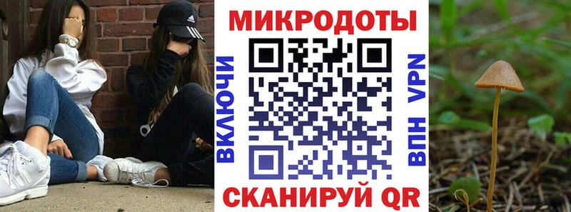MEGA ссылки  darknet клад  Галлюциногенные грибы прущие грибы  Эртиль 